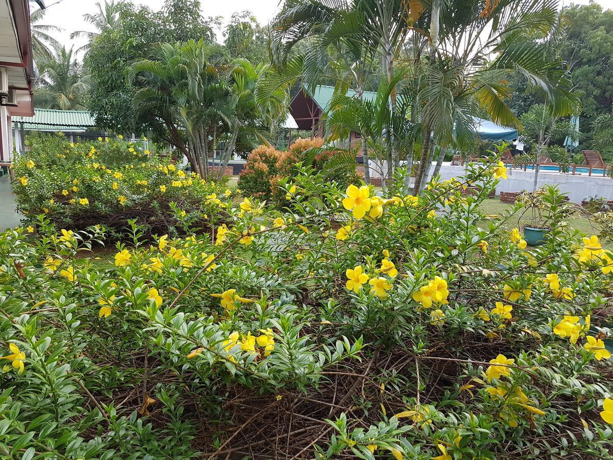 Saji-Sami Hotel Anuradhapura Eksteriør bilde