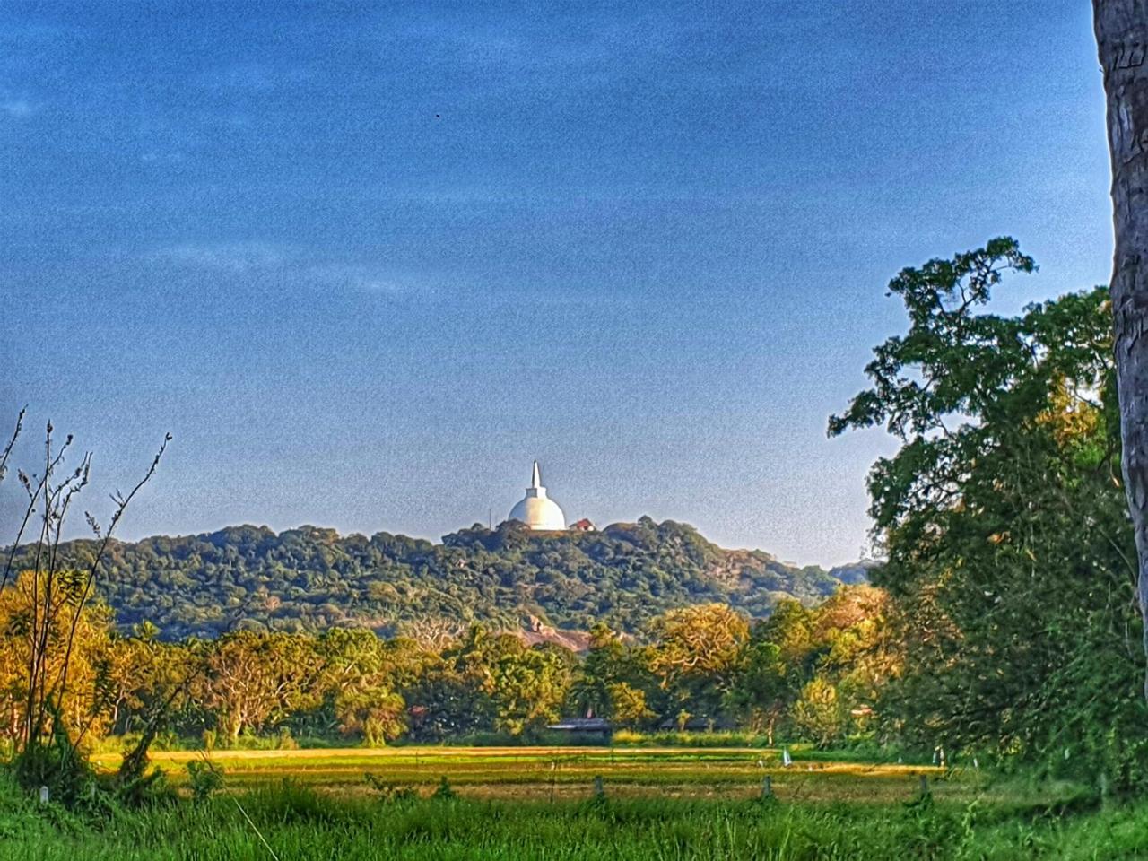 Saji-Sami Hotel Anuradhapura Eksteriør bilde